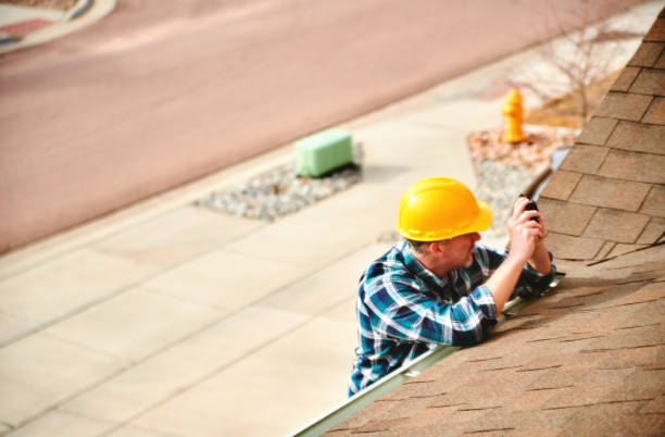 Best Roof Gutter Cleaning  in Woodhaven, MI