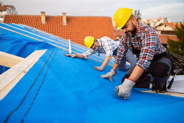 Best Local Roofing Companies  in Woodhaven, MI