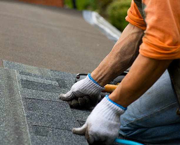 Best Storm Damage Roof Repair  in Woodhaven, MI