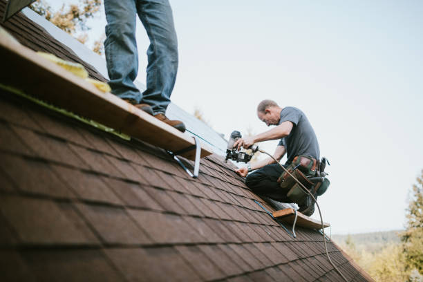 Best Roof Maintenance Services  in Woodhaven, MI
