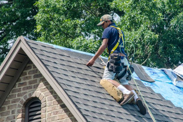 Best Gutter Installation and Roofing  in Woodhaven, MI